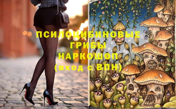 хмурый Верхний Тагил