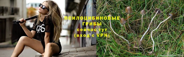 хмурый Верхний Тагил