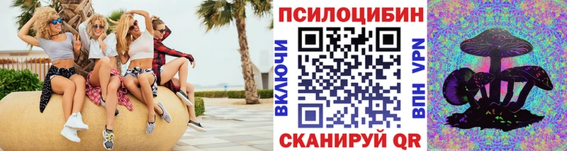 Псилоцибиновые грибы мицелий  Шилка 